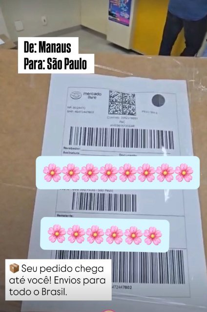 De Manaus para São Paulo