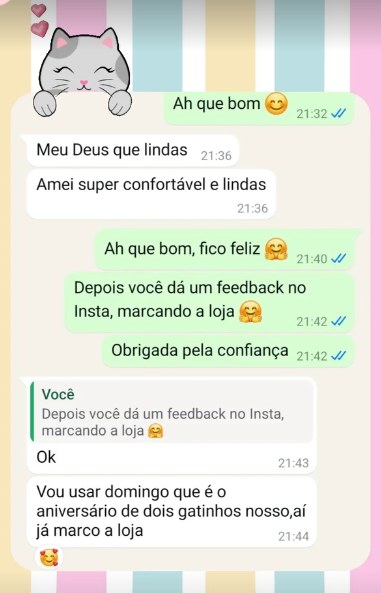 Print de conversa com cliente elogiando as t-shirts