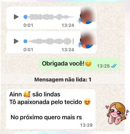 Print de conversa com cliente elogiando as t-shirts